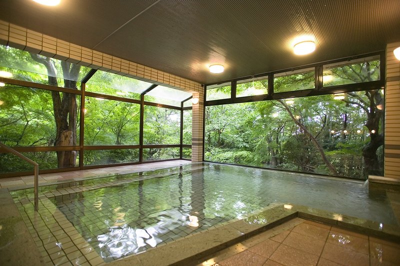 Ryokan Beniya Mukayu photo 2