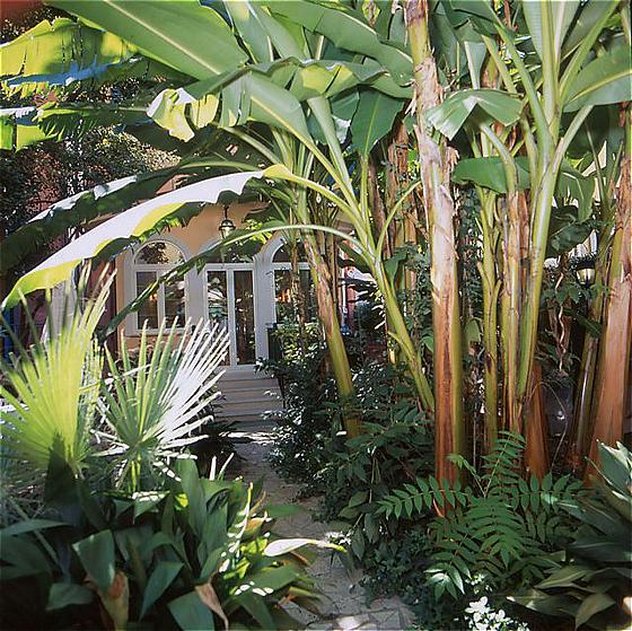Astoria Garden photo 2