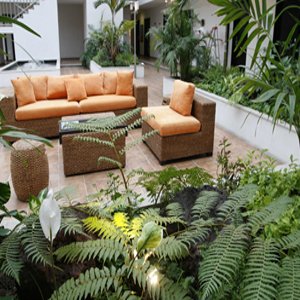 México Inn Hotel & Residence photo 2