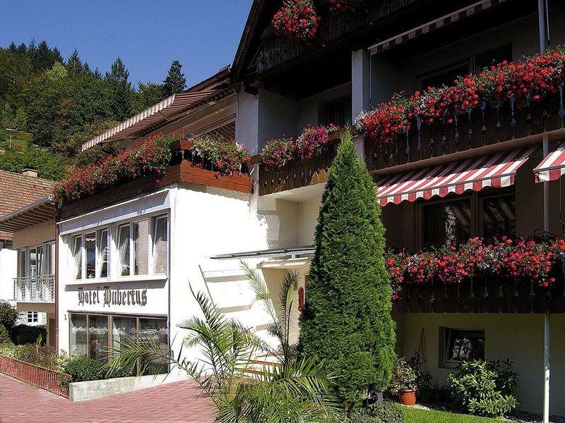 Akzent Hotel Hubertus