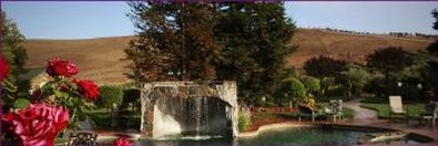 Purple Orchid Resort & Spa