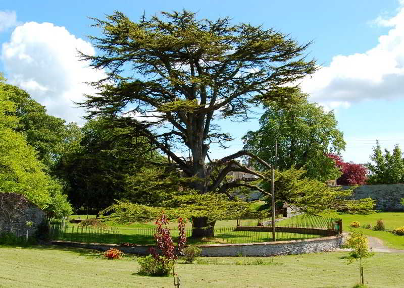 The Urr Valley Country House Hotel