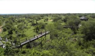 Singwe River Lodge
