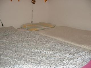 Artificial Hostel