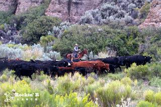 Rockin R Ranch
