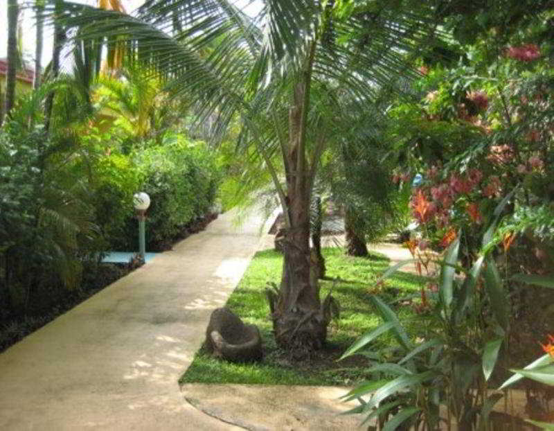 La Palmera