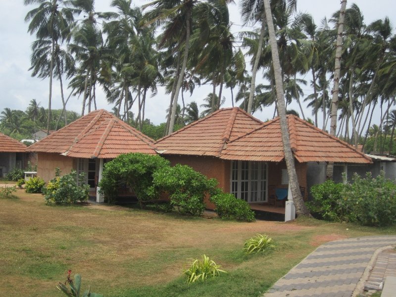 Saffron Beach, Wadduwa