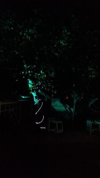 Hotel Boutique Paseos Cuernavaca