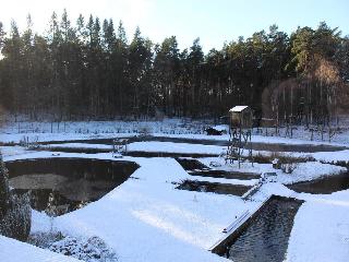 Pension & Gasthaus Kattenstieg
