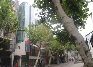 Ibis Song Dynasty Hangzhou