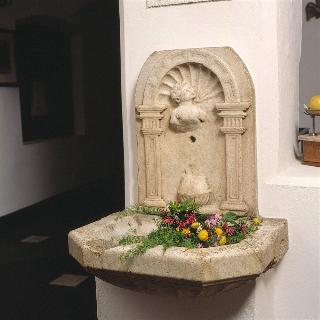 Schwarzer Adler Aquila Nera