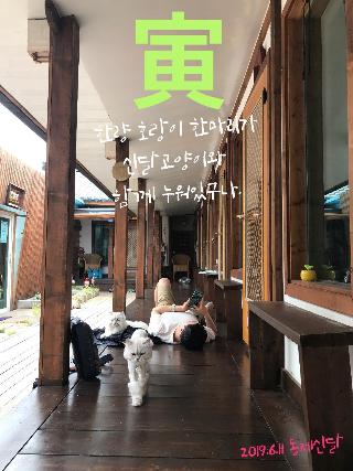 Sindal Guesthouse