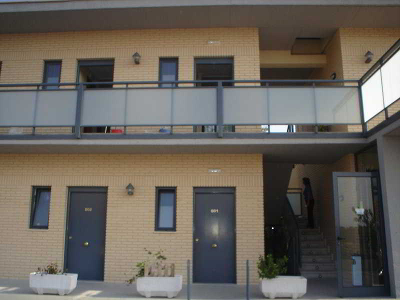Campo Olivar