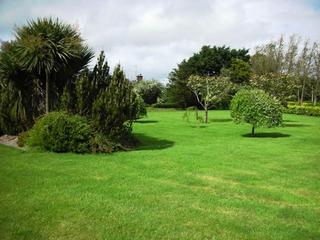 Beechgrove