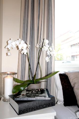 Gruner Apartments