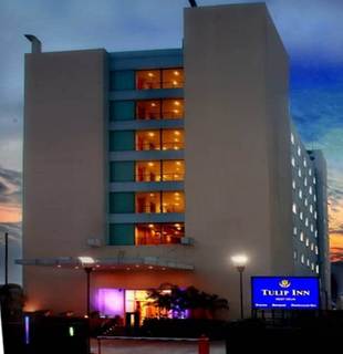 Golden Tulip Essential