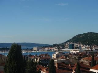 Vinko