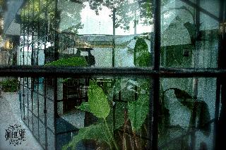 Boheme Tulum