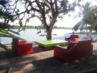 El Huerto del Bambu
