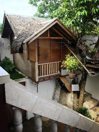 Koko Tourist