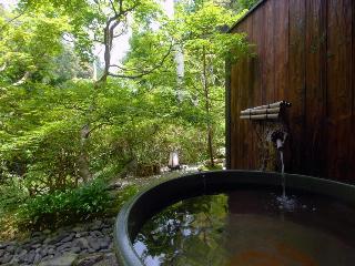 Momijiya Bekkan Kawa No Iori Ryokan