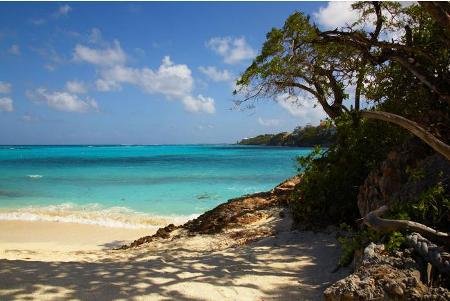 Paradise Cove Resort photo 5