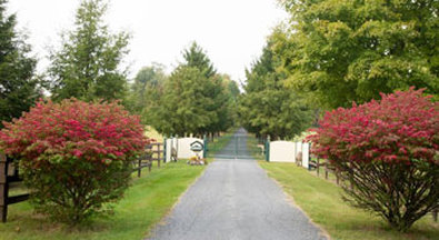 Antietam Overlook Farm photo 2