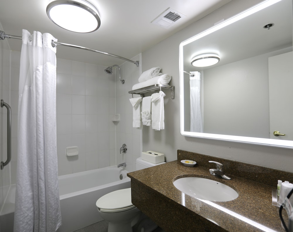 Holiday Inn Chicago O Hare Area by IHG photo 3