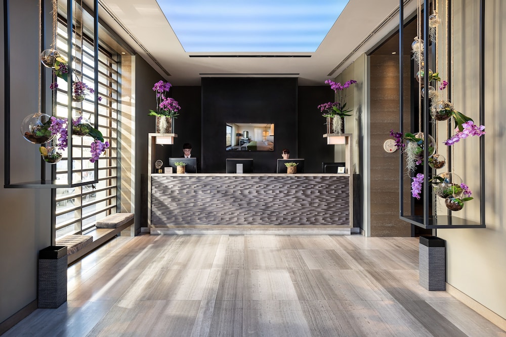 Starhotels Echo photo 2