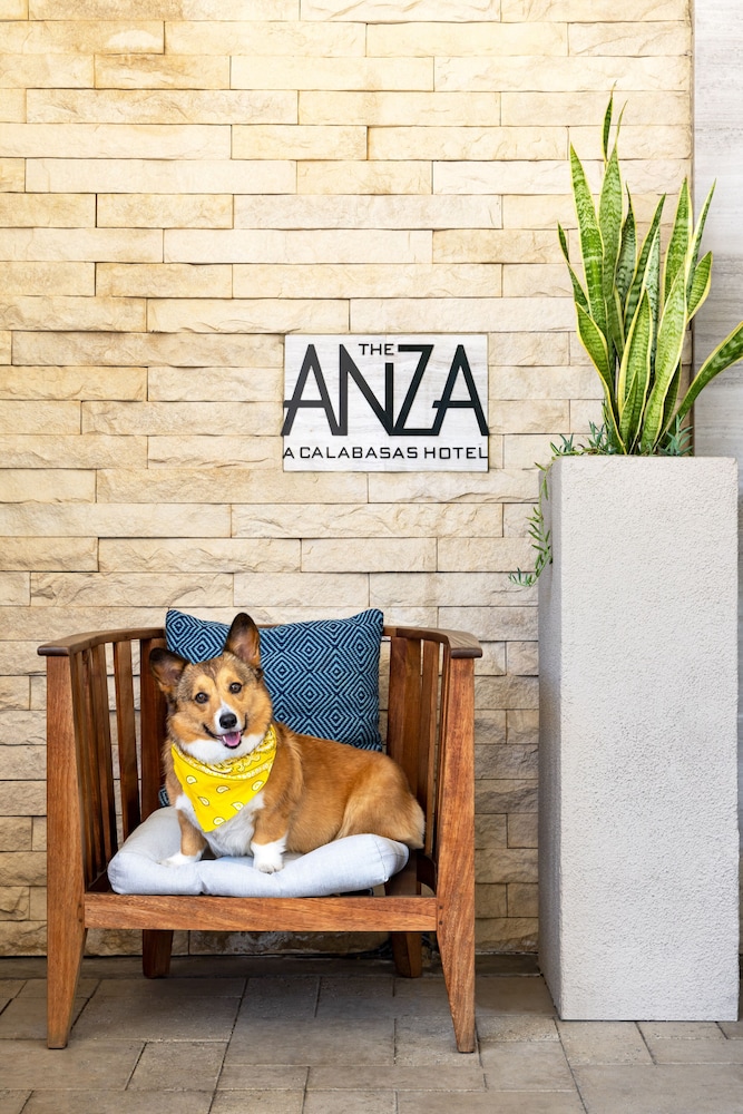 The Anza - A Calabasas Hotel