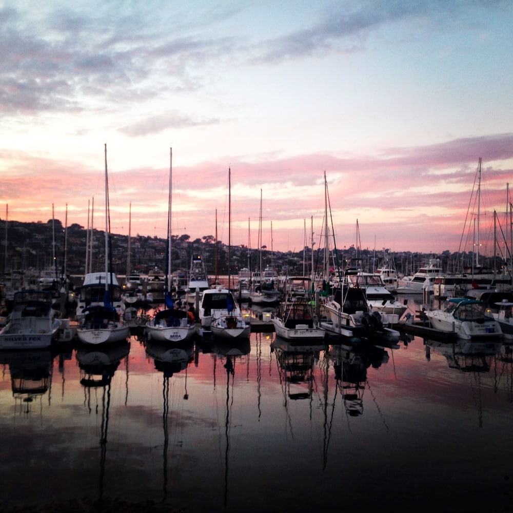 Best Western Plus Island Palms Hotel & Marina
