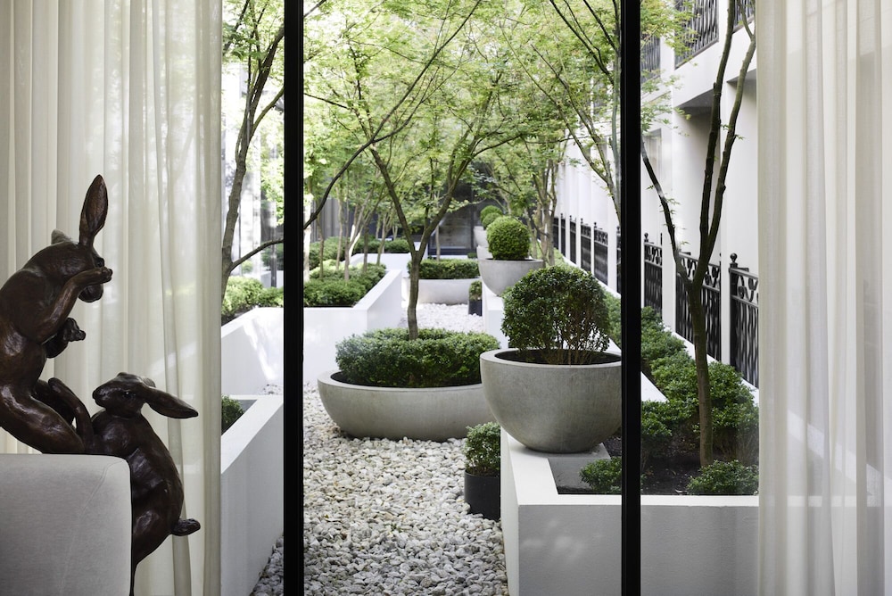 The Lyall Hotel & Spa photo 3