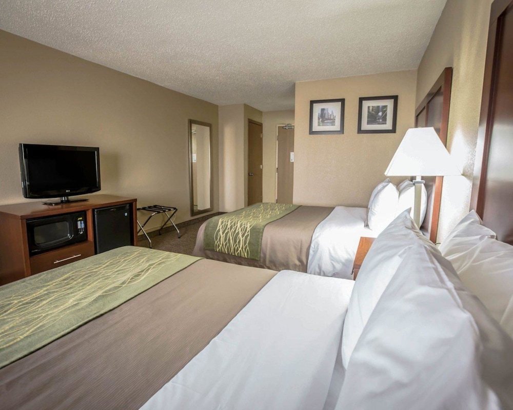 Comfort Inn Morris I-80