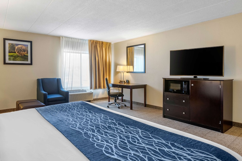 Comfort Inn Grand Rapids Airport