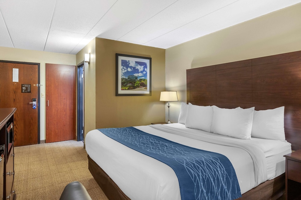 Comfort Inn Grand Rapids Airport