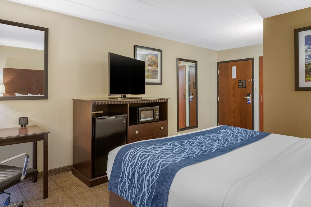 Comfort Inn Grand Rapids Airport