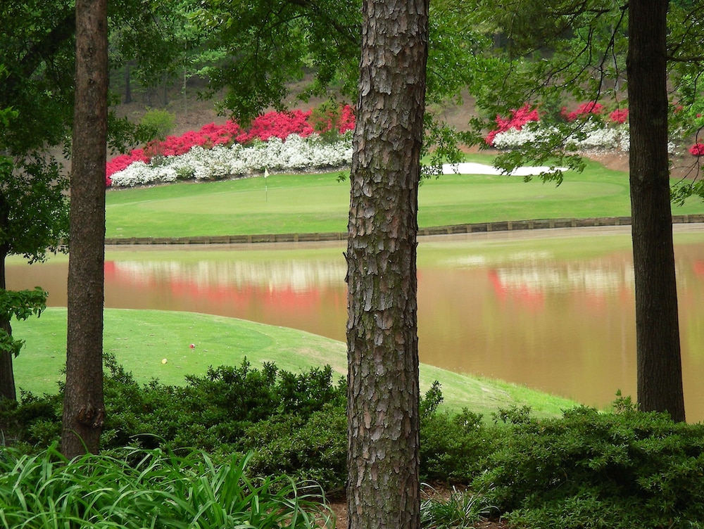 Embassy Suites Greenville Golf Resort & Conference Center