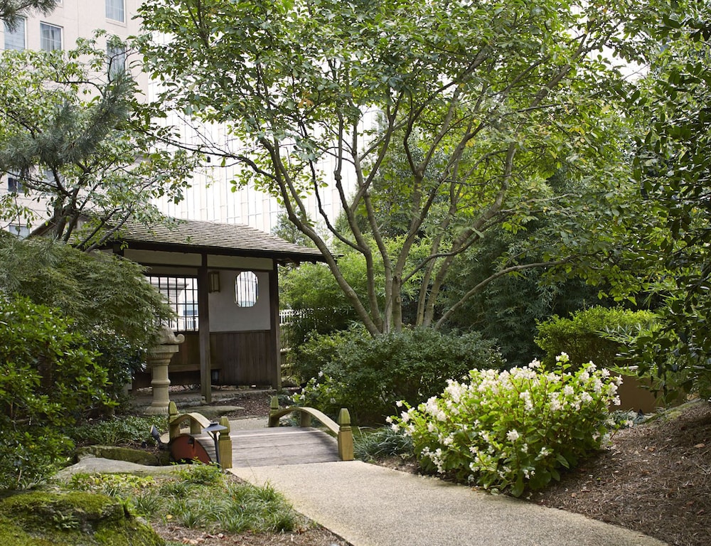 Grand Hyatt Atlanta in Buckhead