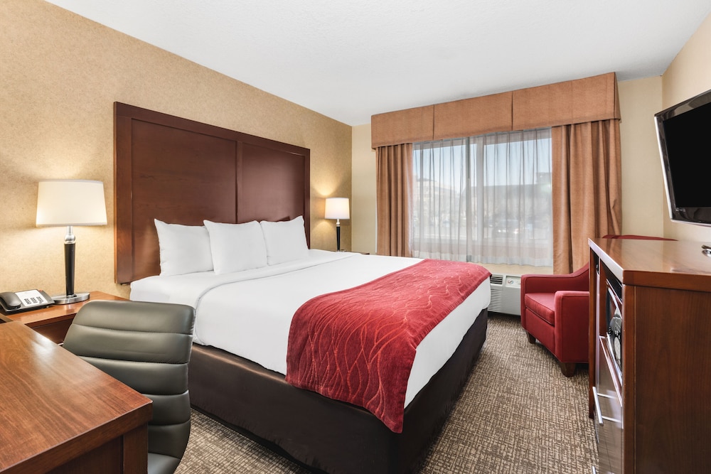 Comfort Inn & Suites Vancouver Downtown City Center