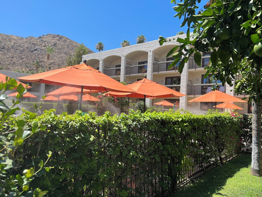 Palm Mountain Resort and Spa