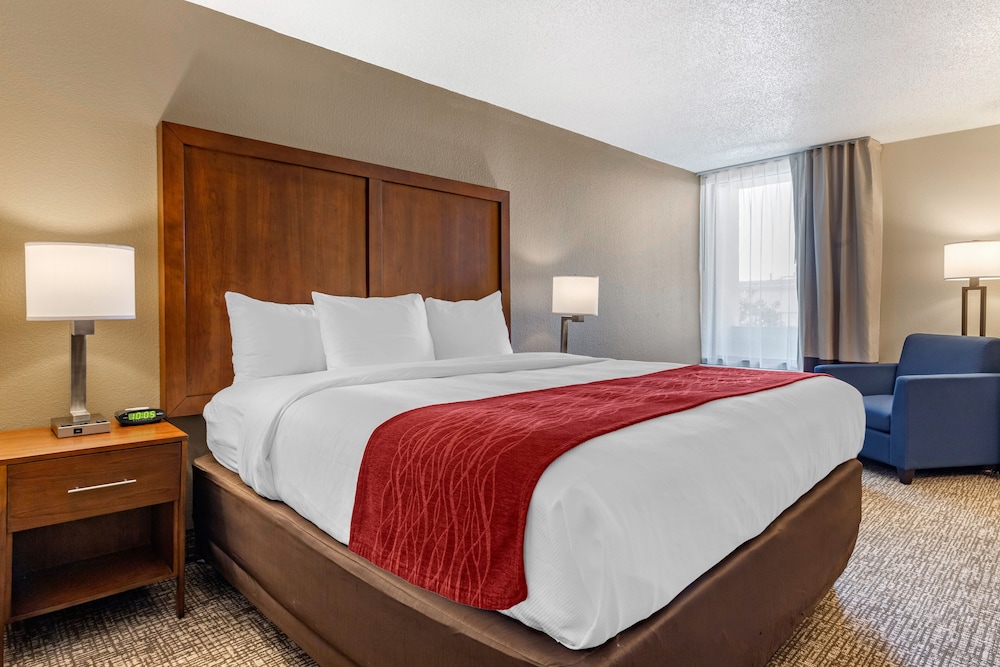 Comfort Inn University