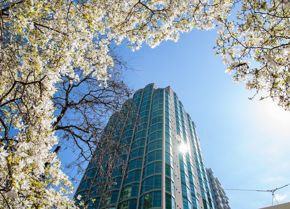 Rosedale on Robson Suite Hotel photo 2