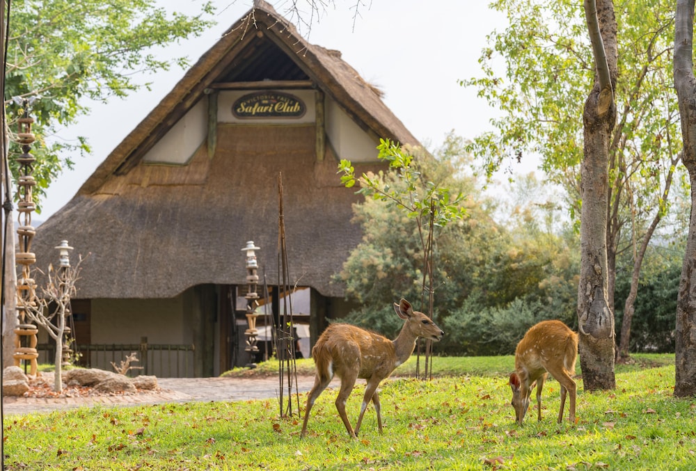 Victoria Falls Safari Club photo 2