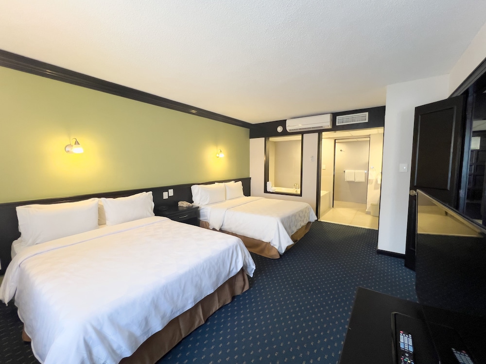 Holiday Inn San Luis Potosi-Quijote By IHG