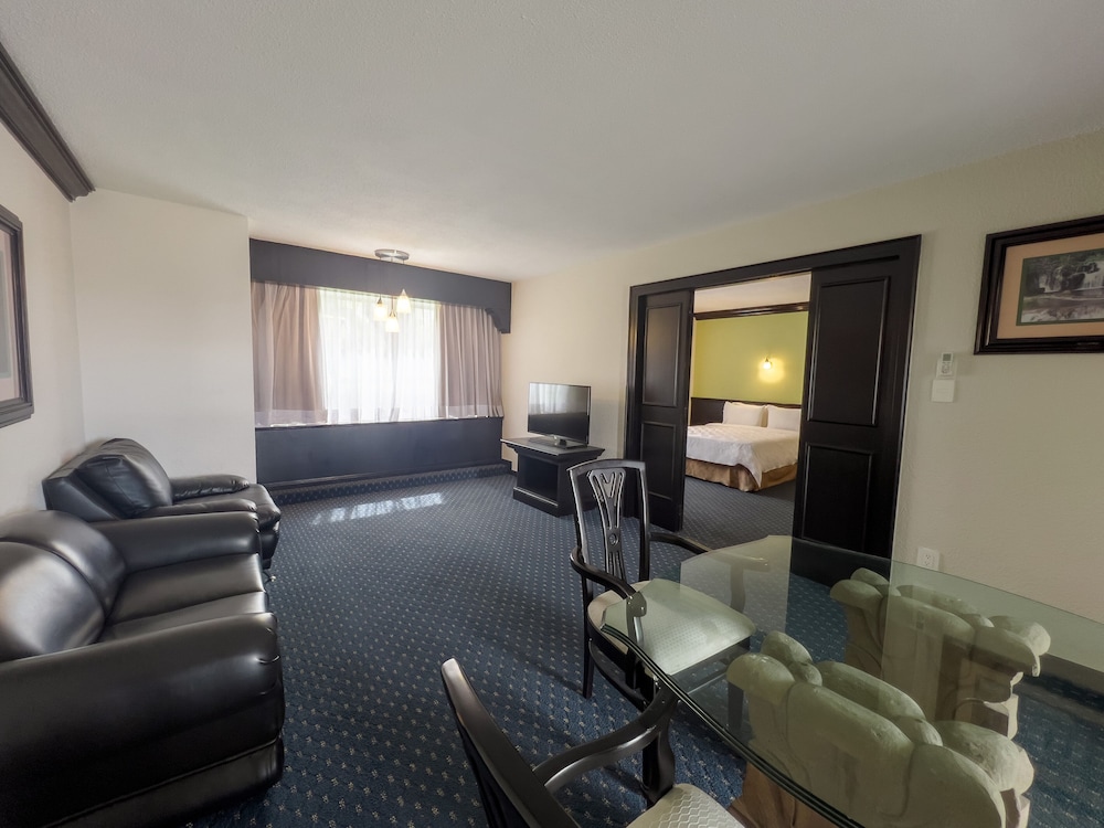 Holiday Inn San Luis Potosi-Quijote By IHG