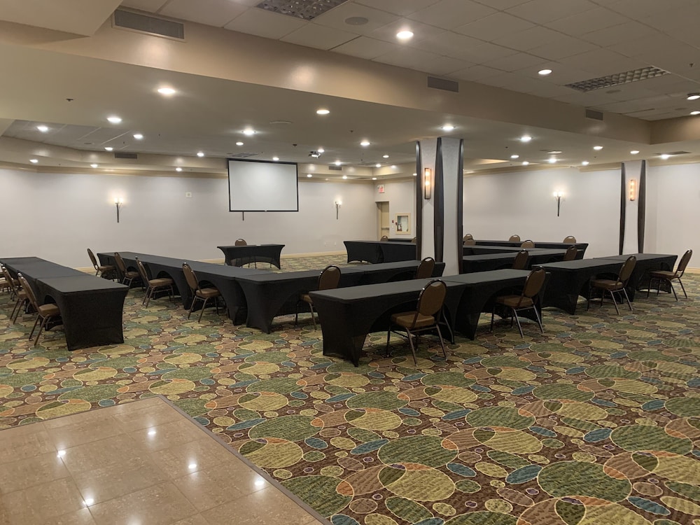 Holiday Inn & Suites Windsor Ambassador Bridge by IHG photo 3