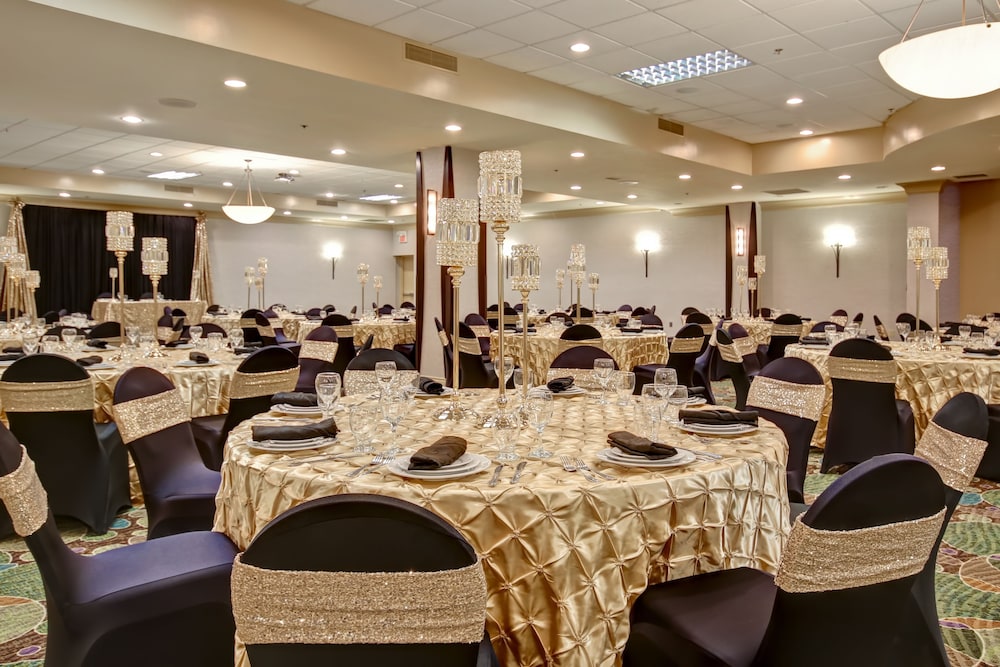 Holiday Inn & Suites Windsor Ambassador Bridge by IHG photo 2