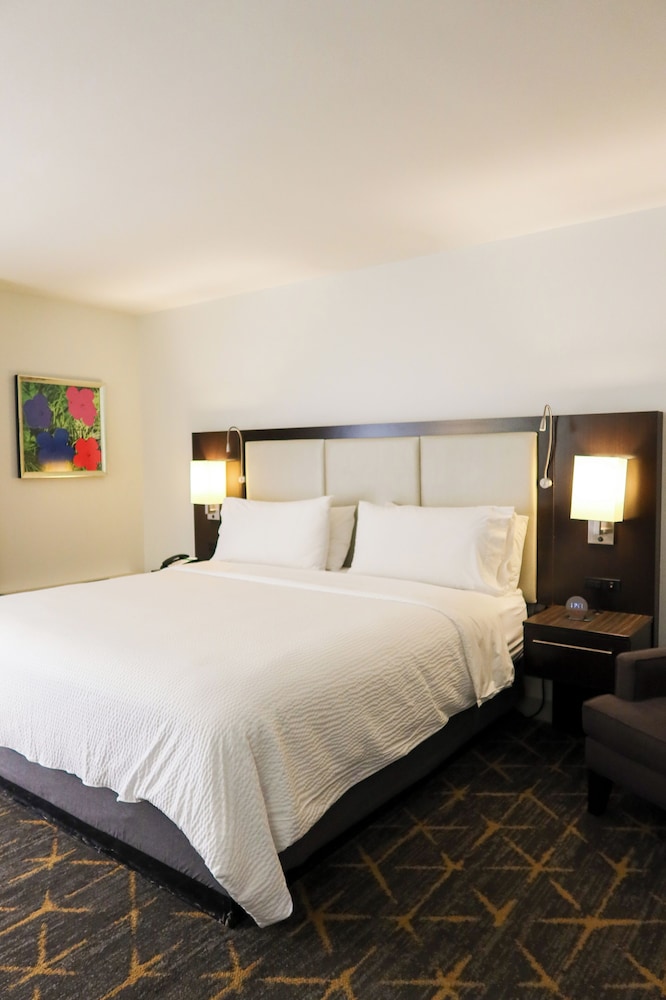 Holiday Inn New Orleans - Downtown Superdome by IHG photo 5