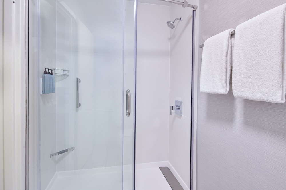 Courtyard by Marriott Detroit Metropolitan Airport Romulus