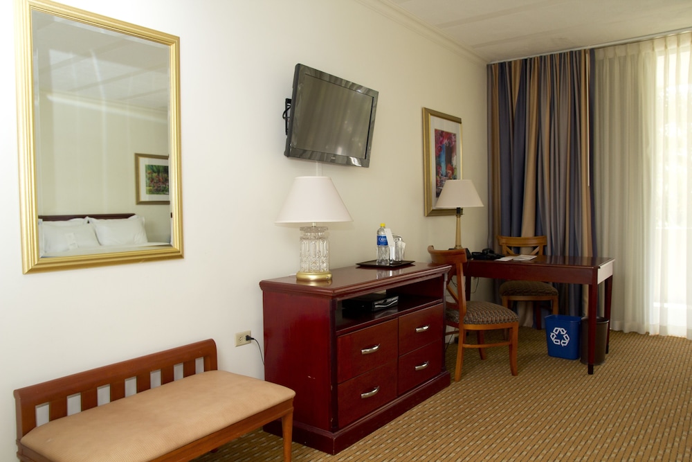 Sheraton Presidente San Salvador photo 4